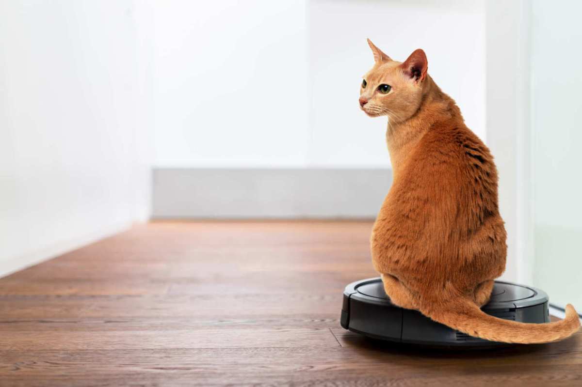 Takarító robotok kisokosa